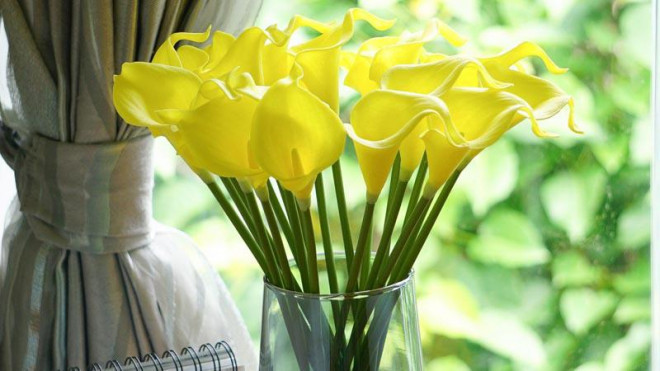 Phần lớn hoa rum nước ta chỉ có màu trắng hoặc vàng những màu khác thường sẽ là hoa nhập. Hoa thường mọc vươn cao thành những búp dài 15-20cm. Hoa rum được coi là biểu tượng của sự thuần khiết, rạng rỡ. Đó cũng là lý do vì sao loài hoa này thường xuất hiện trong các đám cưới của các nước châu Âu. Nhiều gia đình châu Âu rất chuộng trồng hoa rum trong vườn nhà bởi hoa rum còn tượng trưng cho sự trở về, đoàn tụ, sum vầy của gia đình.