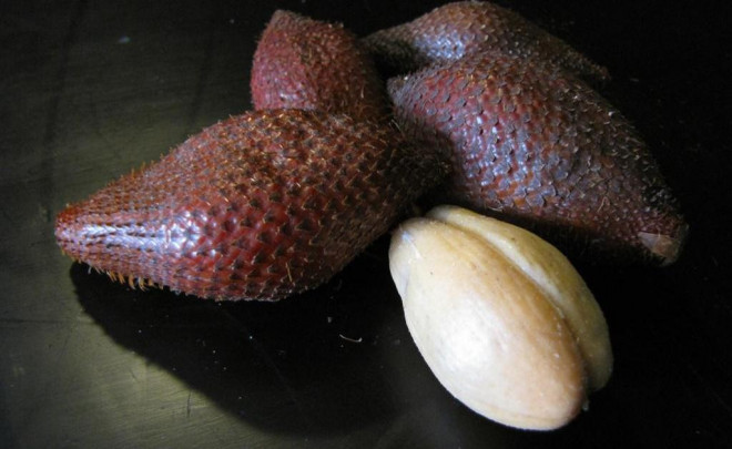 May Thai gai goc, xu xi nhung nem thu... khong the quen duoc huong vi-Hinh-7