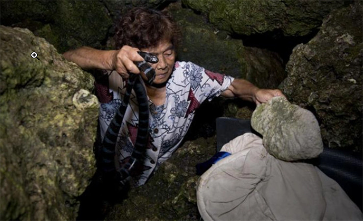 2 cụ bà 70 tuổi là Yoko và Setsuko bắt chúng bằng tay không từ nhiều năm nay khiến người khác giật mình.