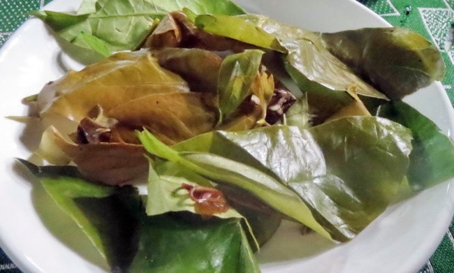  Rau nhíp có giá 30 ngàn đồng/kg, mùa nắng thì mức giá cao hơn chút.