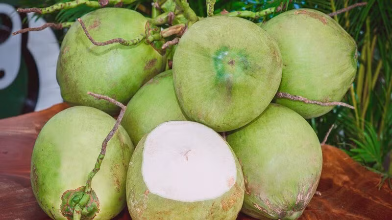 Dan trong dua mach meo chon qua nhieu nuoc, khong lo tiem duong hoa hoc