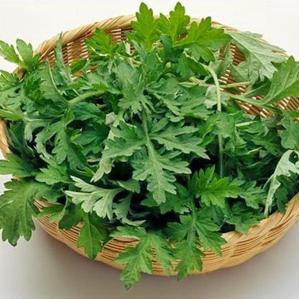 Tac dung phu dang so cua rau ngai cuu, biet ma tranh keo hai du duong-Hinh-2