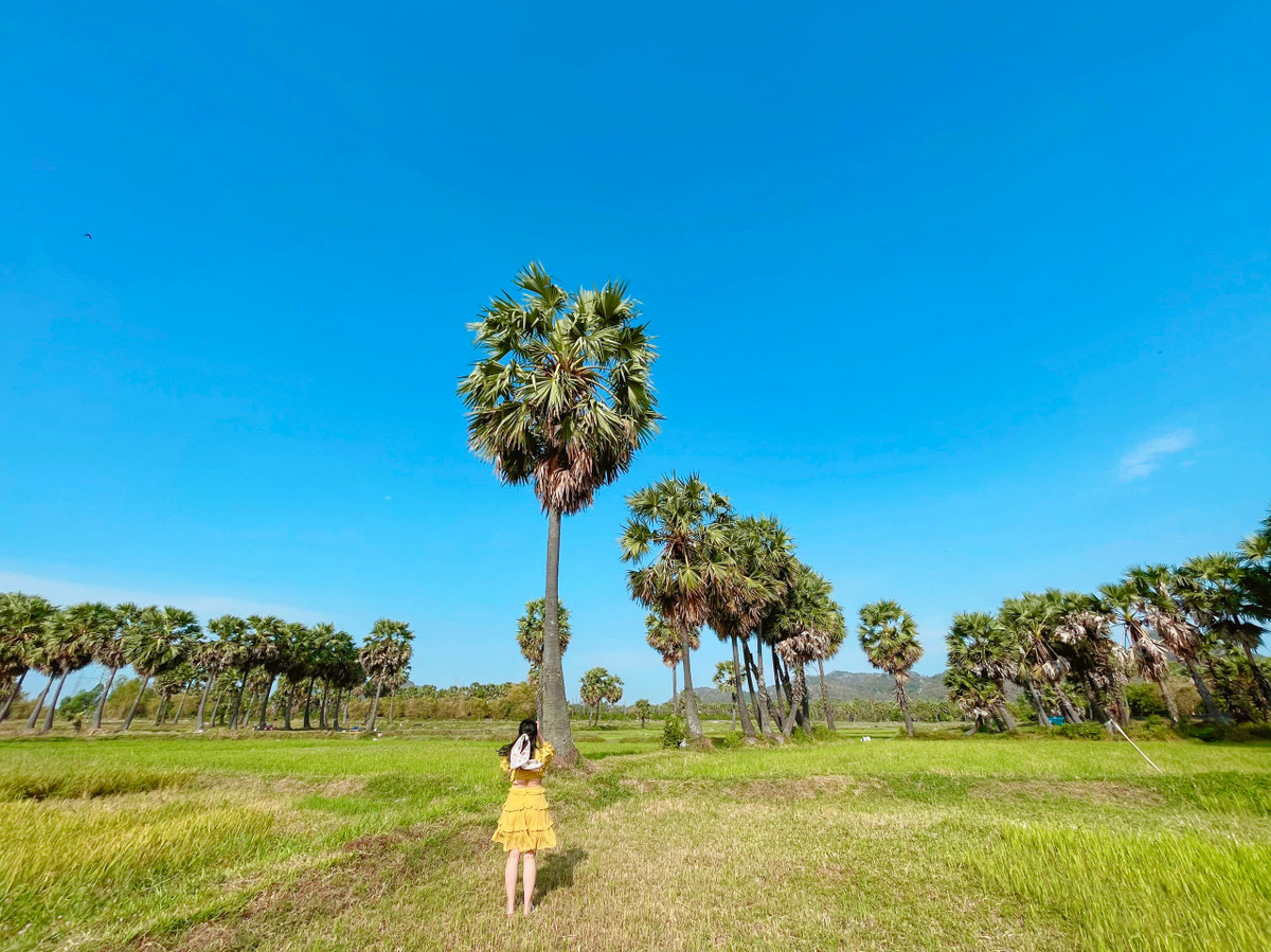Co gai Viet Nam o Dubai va chuyen du lich mot minh toi Ai Cap-Hinh-21