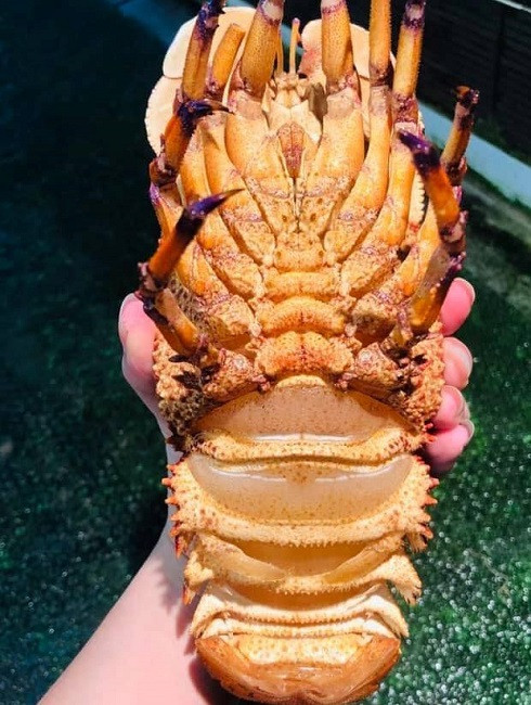 Loai tom la co gia hon 2 trieu dong/kg, nha giau moi mat lung mua-Hinh-4