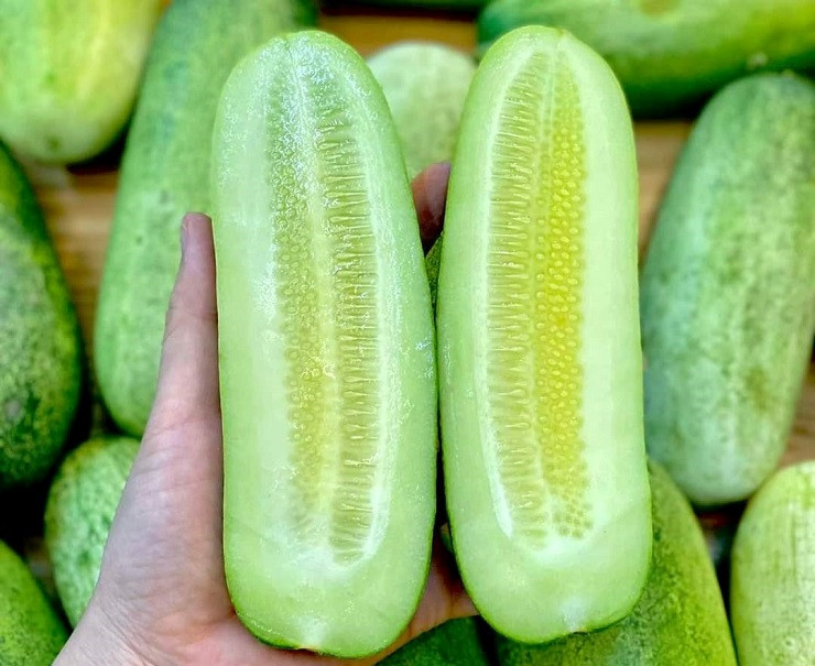 Dua chuot sieu to khong lo xuong nui, dat gap 3 van hut khach-Hinh-3