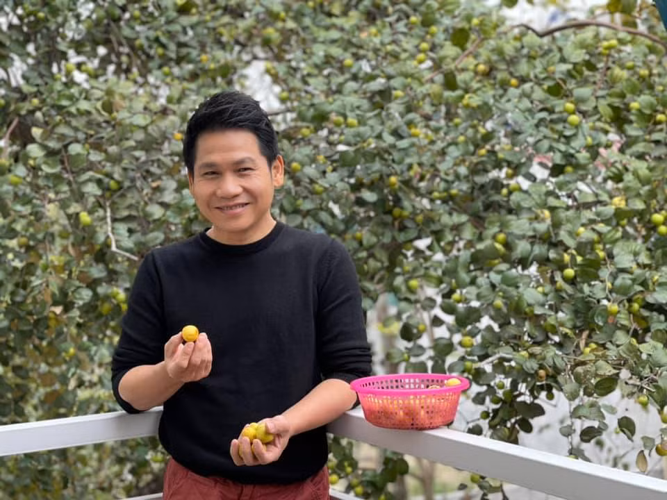 Trọng Tấn khoe táo quê vườn nhà.