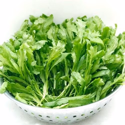 Loai rau vai nghin/mo lai la thuoc bo mau, duong tim, tri mat ngu-Hinh-2