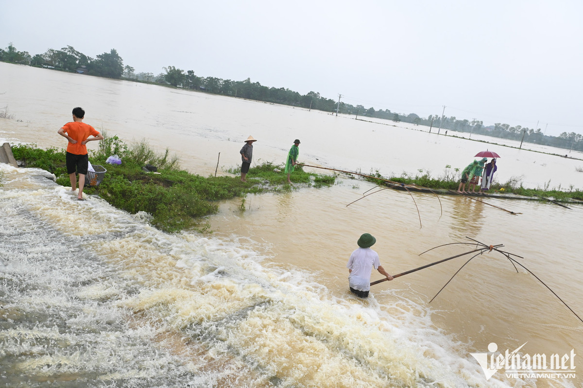 Khu vực đê Bùi 2 chìm trong nước. Nhiều gia đình nuôi ao cá rơi vào cảnh của trong nhà đội nón ra đi. Người dân vùng lân cận kéo nhau sang khu vực đê Bùi 2 để bắt cá trong nước lũ.