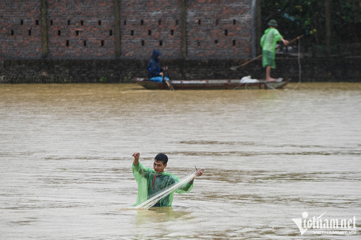 Nhiều người không ngại lội xuống để vung lưới bắt cá, nước ngập quá bụng.