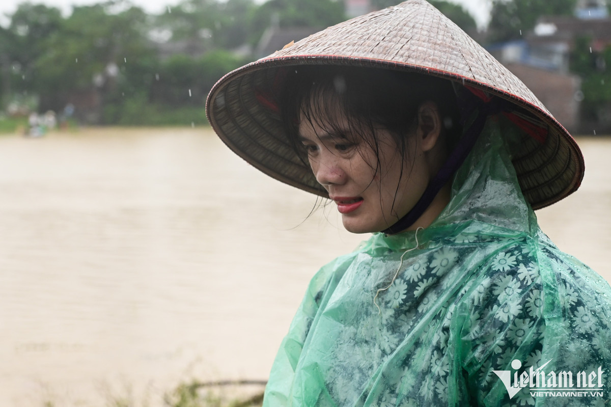 Gia đình chị Nguyễn Thị Thùy nuôi cá gần khu vực đê Bùi 2. Chị cho biết nước bắt đầu tràn về từ 17h chiều 8/9, đến 19h dâng mạnh. "Chỉ đến sáng nay mà nước đã ngập trắng cả vùng. Nhiều khúc đê không còn trông thấy đường nữa. Cứ năm nào nước về là nhà tôi cũng thất bát", chị Thùy chia sẻ.