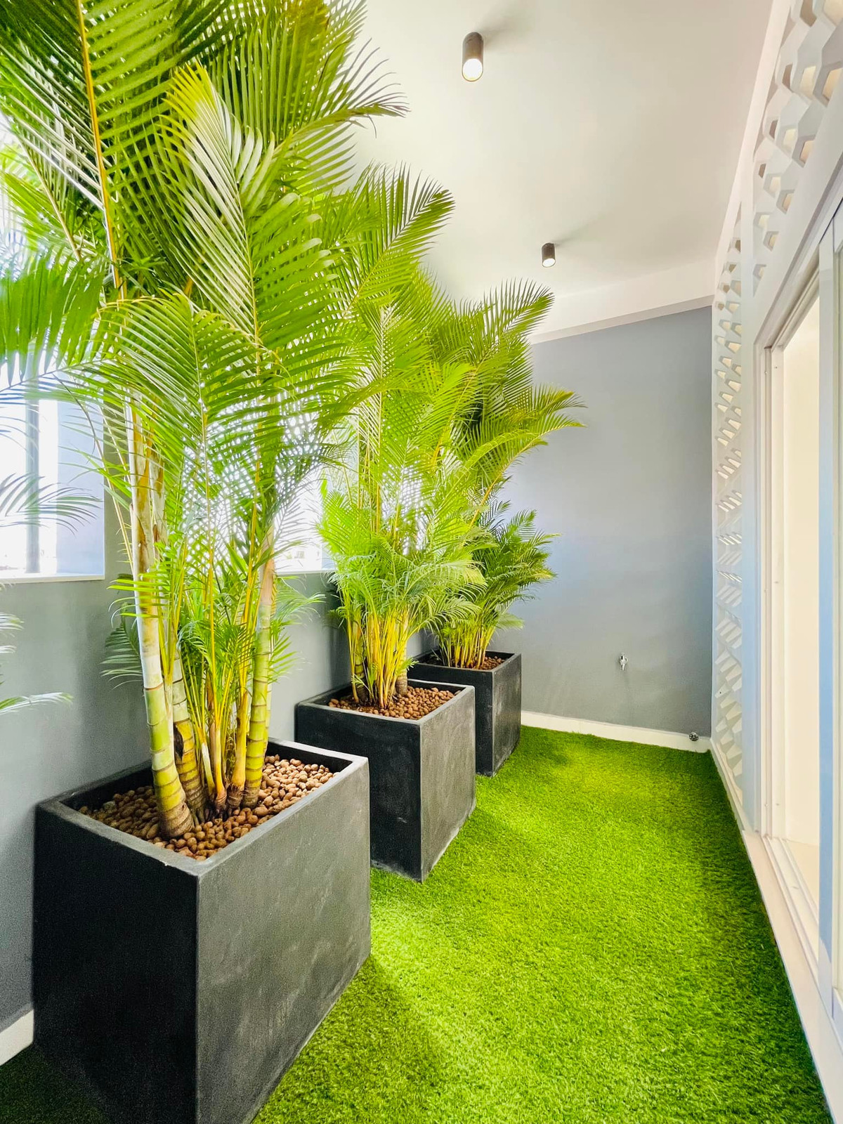 Cap vo chong o TP.HCM mua nha hon 10 ty o tuoi 26-Hinh-16