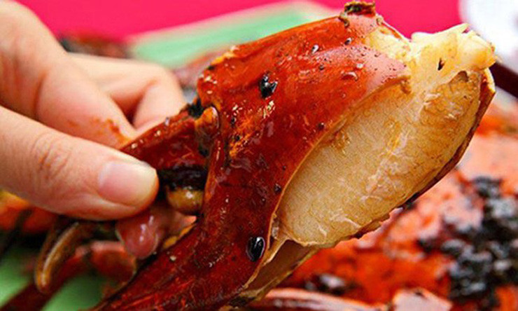 Chúng sống trên núi, uống nước sương, ăn lá cây có vị thuốc bắc nên rất bổ dưỡng.