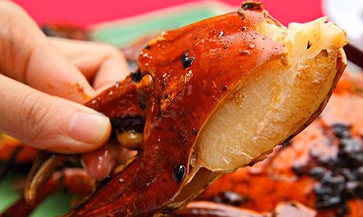 Chúng sống trên núi, uống nước sương, ăn lá cây có vị thuốc bắc nên rất bổ dưỡng.