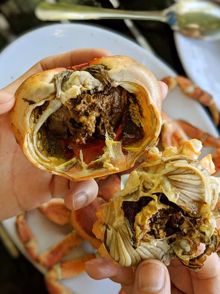 Vỏ cua khá dày và cứng, thịt cua chắc và thơm, đặc biệt ngon và lạ nhất của cua đá phải nói đến gạch cua. Gạch cua có màu sẫm, vị như thuốc bắc, hơi đắng nhưng rất rất béo và thơm nồng mùi thảo dược.