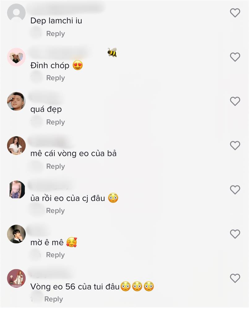 ên dưới phần bình luận, ngoài một số fan trung thành dành lời khen như một thói quen...