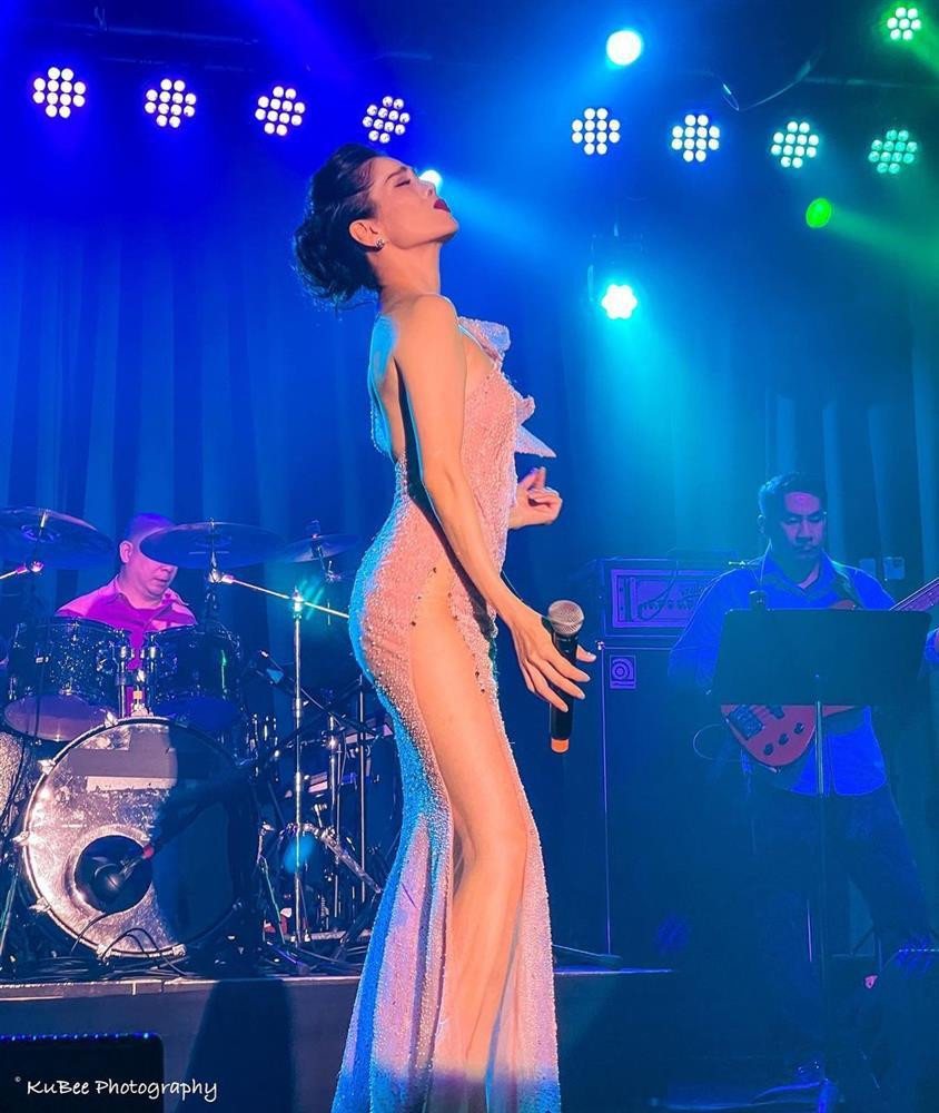 Le Quyen gay hieu lam voi loat anh 