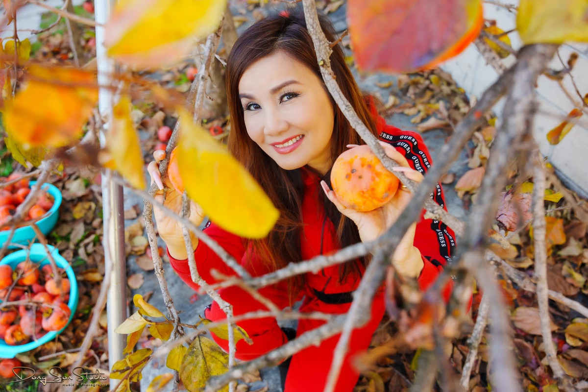 Hạ Vy ra vườn thu hoạch hồng.