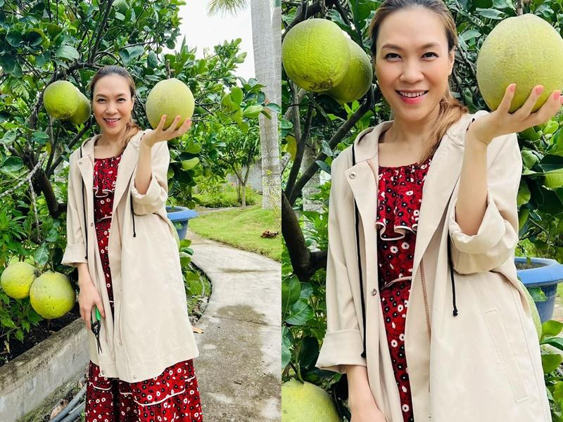 Cách đây vài ngày Mỹ Tâm vướng tin đồn đang mang bầu. Cụ thể trong trong những bức ảnh Mỹ Tâm đăng tải trên trang cá nhân, giọng ca Người Hãy Quên Em Đi diện chiếc đầm khá rộng rãi, mặc thêm áo khoác rộng bên ngoài, và cư dân mạng nhận ra vòng 2 của nữ ca sĩ lớn hơn thường thấy.