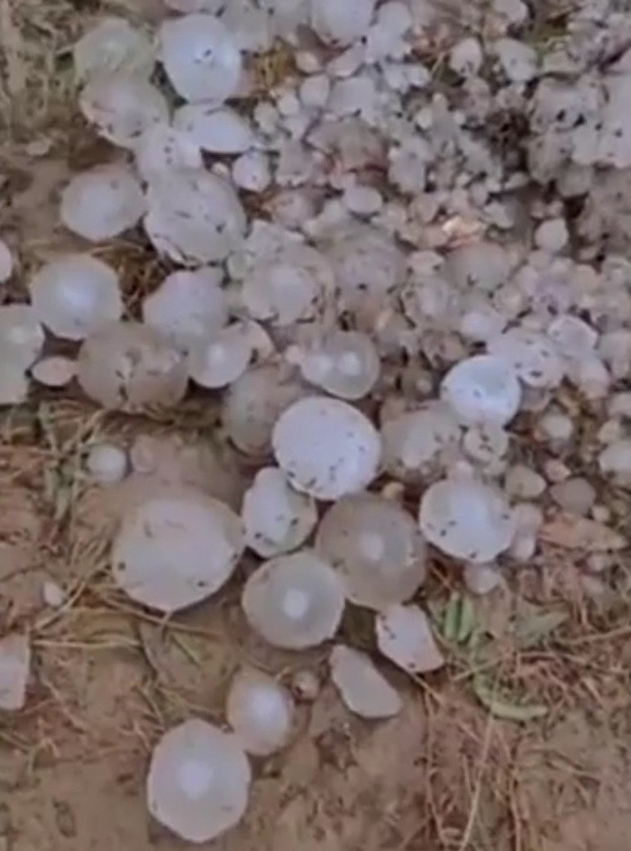 Mua da cuc lon lam 25 nguoi bi thuong, hong hang tram o to-Hinh-3