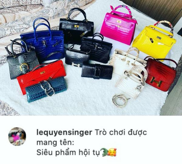 ộ sưu tập túi Hermès xa xỉ của giọng ca phòng trà.