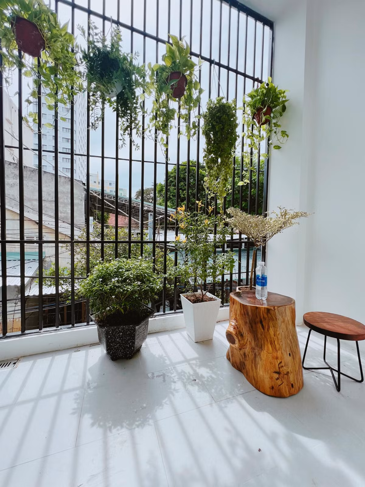 Nha ong trong hem bien thanh 