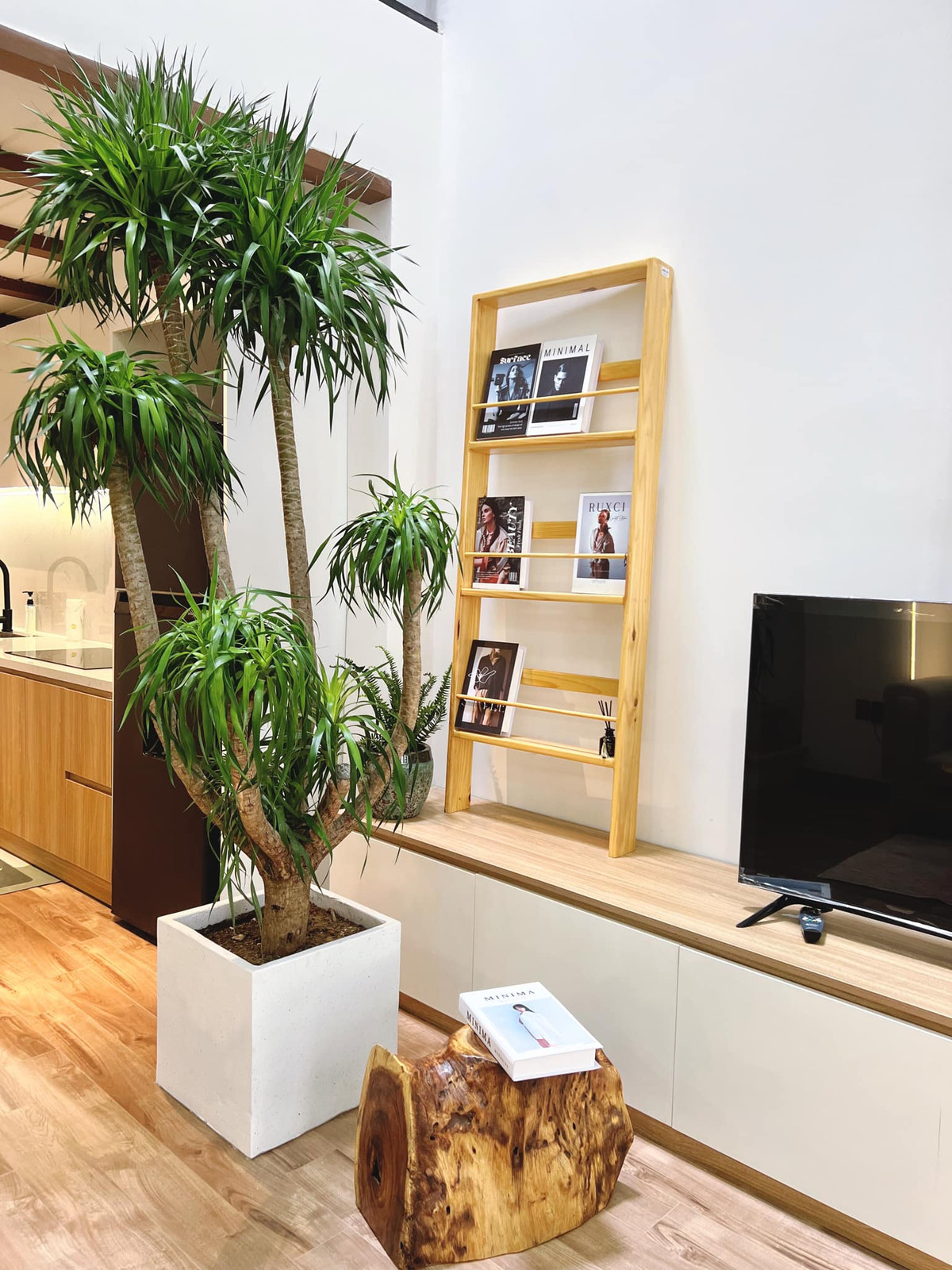 Nhà ống trong hẻm biến thành "vườn địa đàng" sau cải tạo - Hình 8 Nha ong trong hem bien thanh