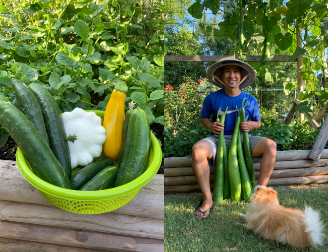 Lạ lùng chàng trai Việt đam mê ớt, ba năm nếm thử... 500 loại ảnh 7