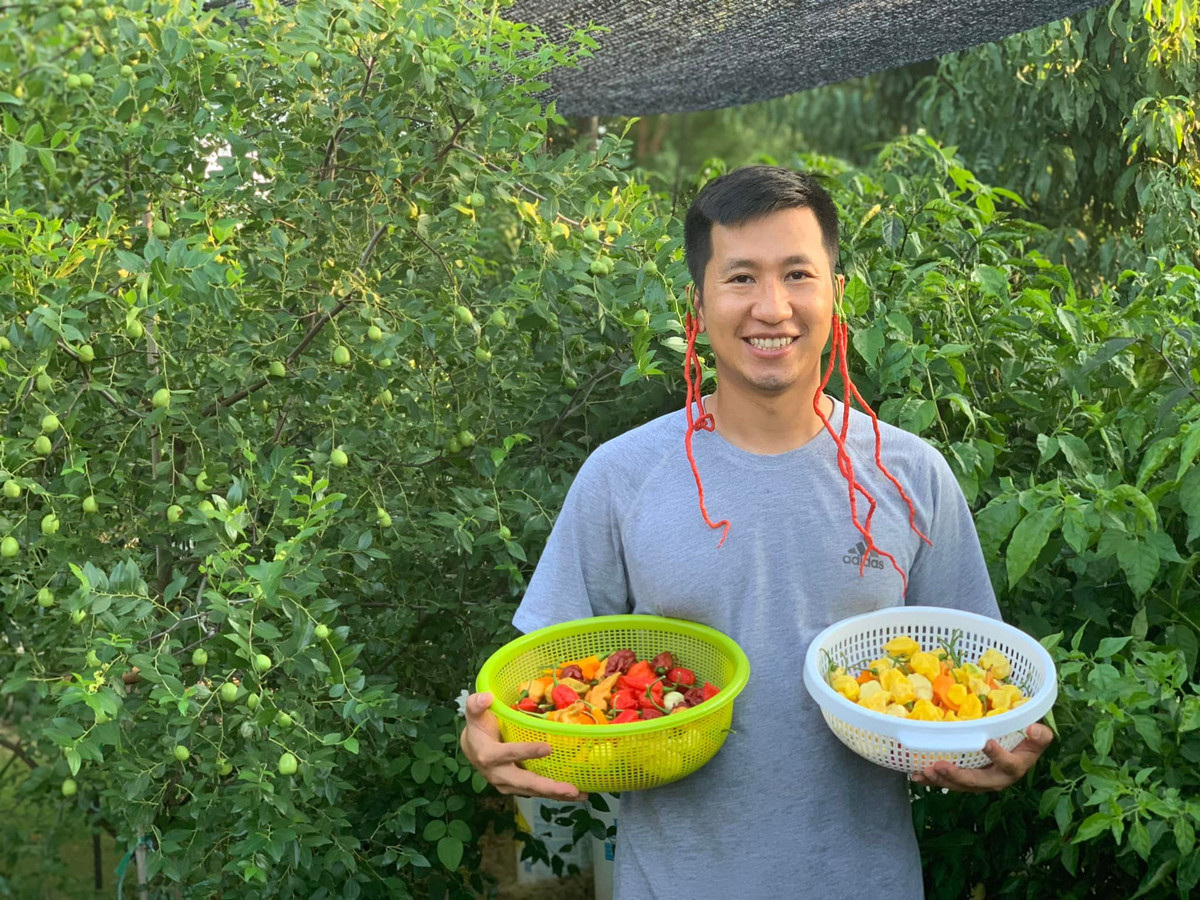 Lạ lùng chàng trai Việt đam mê ớt, ba năm nếm thử... 500 loại ảnh 5