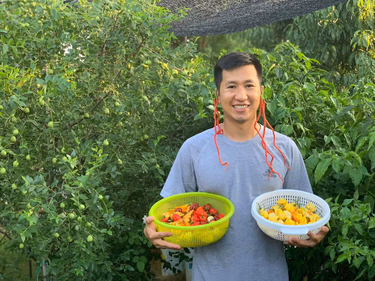 Lạ lùng chàng trai Việt đam mê ớt, ba năm nếm thử... 500 loại ảnh 5