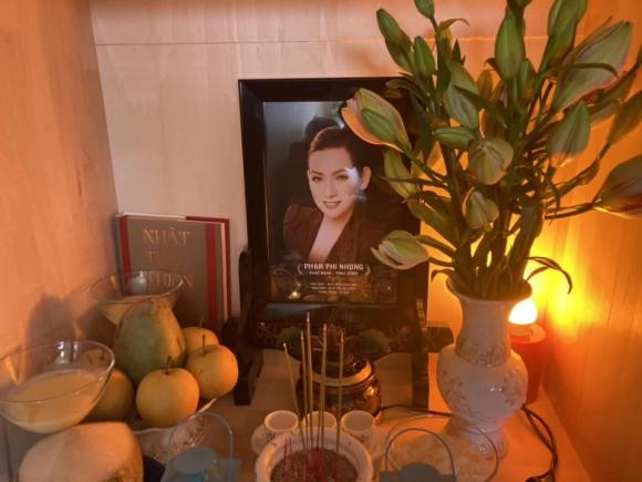 Xuc dong mam com em trai cung gio dau Phi Nhung-Hinh-3