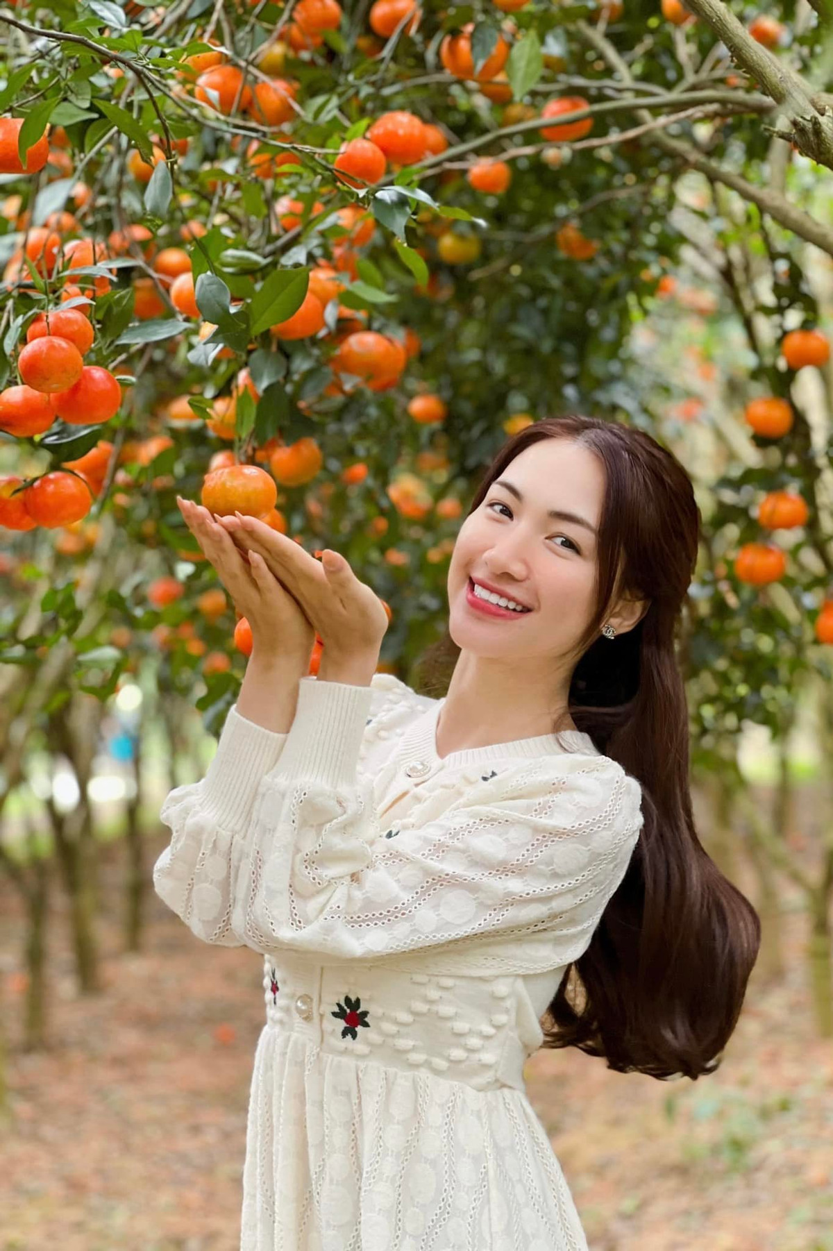 Hòa Minzy đẹp trong veo ở một vườn cam tỉnh Bắc Giang.