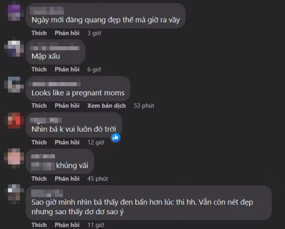 Fan Việt thất vọng tràn trề khi chứng kiến hình ảnh ngày càng tuột dốc của người đẹp Ấn Độ.