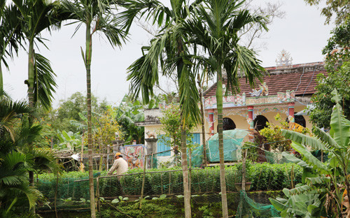 Nguoi dan que ngong tin suc khoe ong Nguyen Ba Thanh