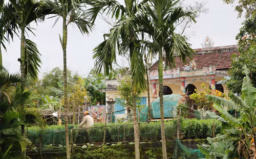 Nguoi dan que ngong tin suc khoe ong Nguyen Ba Thanh