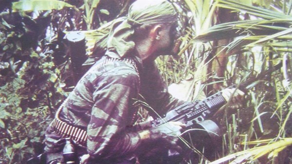 Tổ chức của SOG gồm: Cơ quan cài cắm và chỉ đạo các hoạt động gián điệp biệt kích ở hậu phương Miền Bắc OP34 mật danh Timberwork; Cơ quan hoạt động tình báo quân sự trên biển OP37 mật danh Plowman; Cơ quan tâm lý chiến OP39 mật danh Hulidor; Đơn vị hoạt động thám báo chống phá đường mòn Hồ Chí Minh OP35, mật danh Shinning Brass.