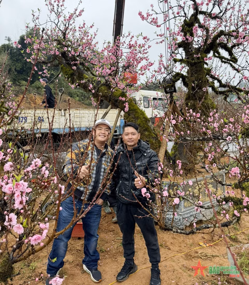 Chiem nguong vuon dao co Sa Pa – tinh tuy cua nui rung Tay Bac-Hinh-3