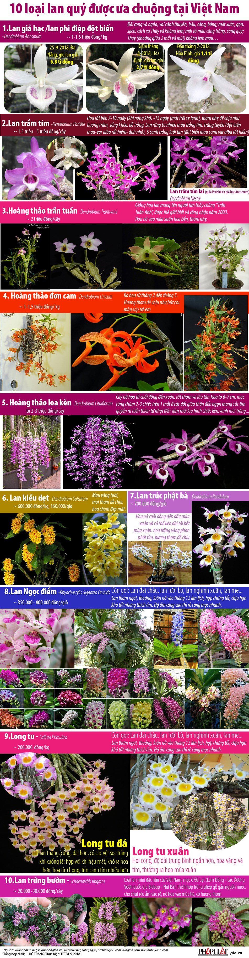 10 loai lan rung quy hiem duoc ua chuong tai Viet Nam