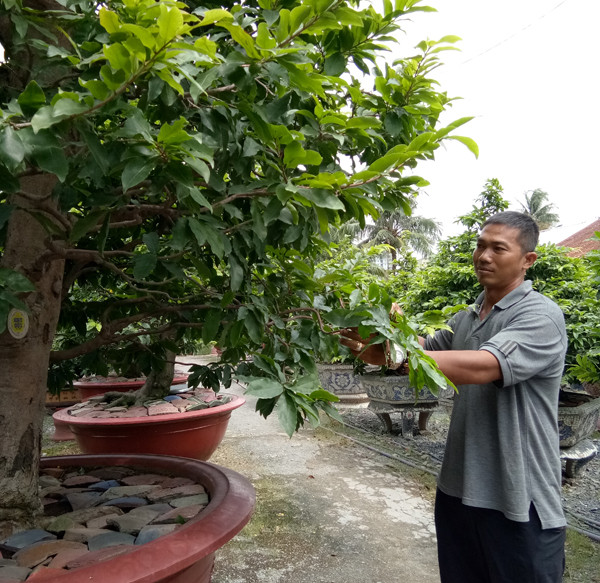 Nghệ nhân 8x với vựa mai tiền tỷ: Yêu mai nhiều hơn vợ ở Thủ Đức Nghe nhan 8x voi vua mai tien ty: Yeu mai nhieu hon vo o Thu Duc