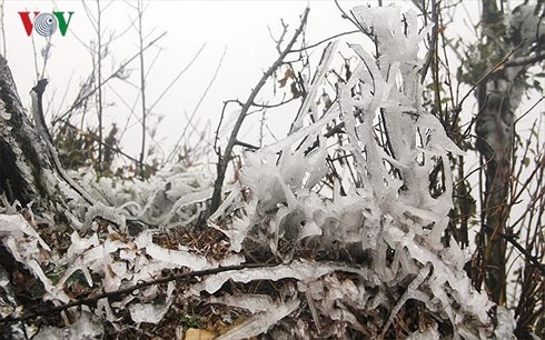 Mùa Đông 2018 đến sớm, rét đậm, rét hại sẽ nhiều hơn Mua Dong 2018 den som, ret dam, ret hai se nhieu hon 