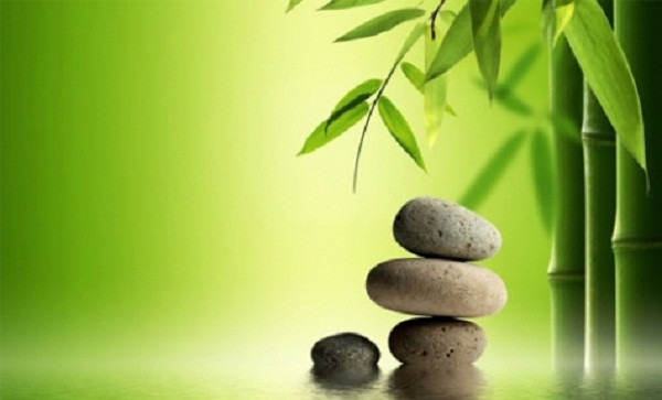 Ngo ra nhieu dieu tu nhung cau chuyen tham thuy ve cuoc doi