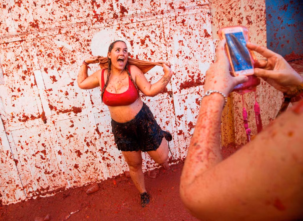 Năm nay, cà chua phục vụ lễ hội được chở trên bảy chiếc xe tải.