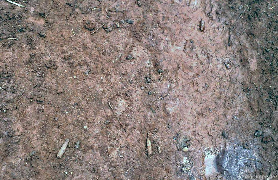 Vỏ đạn vương vãi trên nền đất ở Khe Sanh, nơi diễn ra trận đánh lớn giữa Mỹ và quân đội Giải phóng năm 1968.