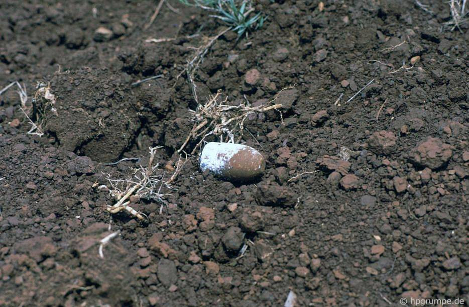 Một quả đạn nằm trên mặt đất ở căn cứ Dốc Miếu.