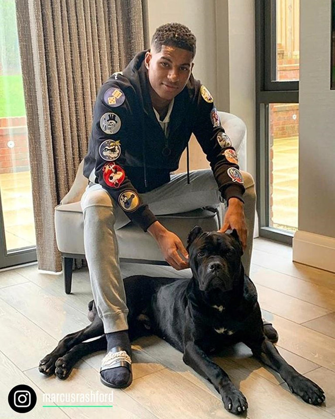 Marcus Rashford dùng thời gian rảnh rỗi để chăm sóc cún cưng dòng Pitbull và đi chơi cùng người anh thân thiết Jesse Lingard.