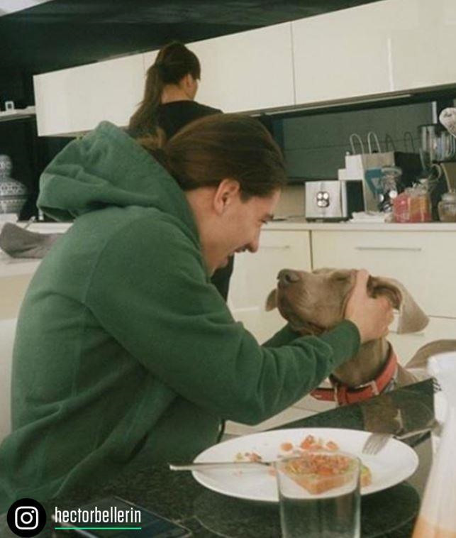 Hector Bellerin cũng sở hữu một con cún cưng nhưng hậu vệ thuộc biên chếArsenalkhông thường xuyên khoe ảnh lên trang cá nhân. Harry Kane lấy tên 2 ngôi sao bóng bầu dục Tom Brady và Russell Wilson để đặt cho 2 con chó cưng dòng Labrador.