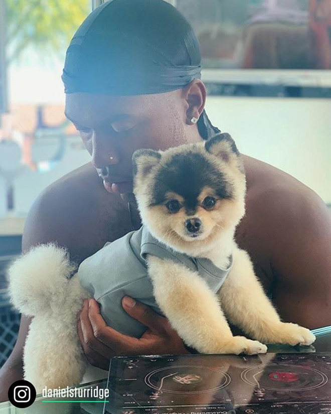 Daniel Sturridge từng khổ sở khi bị trộm viếng thăm và bắt mất con cún anh hết mực yêu thương. Tuy nhiên, cựu tiền đạo Liverpool lại không trả cho người tìm được Lucci số tiền 2.000 bảng như đã hứa trong đoạn video trên mạng xã hội.