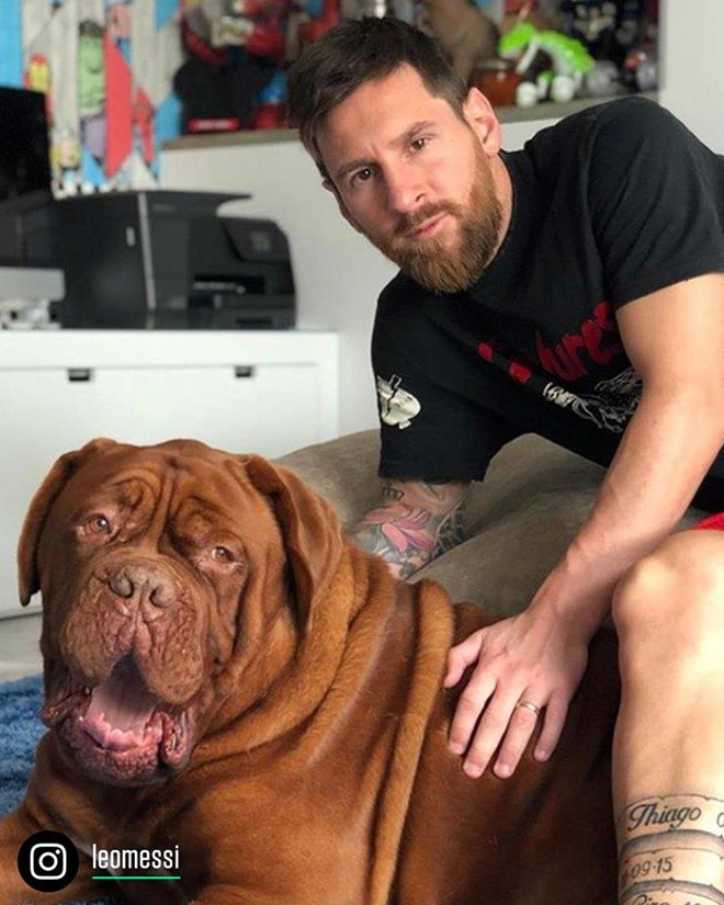 Lionel Messi dành thời gian rảnh rỗi để chăm sóc gia đình và con cún cưng "khổng lồ" dòng ngao Dogue de Bordeaux. Con chó là quà tặng đặc biệt mà cô vợ Antonella Roccuzo dành cho người chồng nổi tiếng.