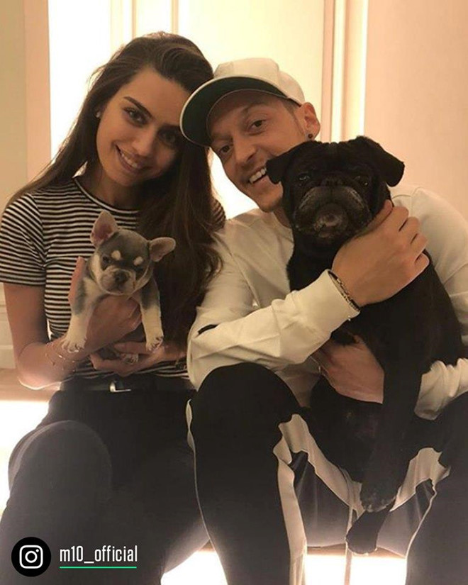 Mesut Oezil và cô vợ nóng bỏng Amine Gulse đang chăm sóc một con cún dòng Pug và một con Bull Pháp.