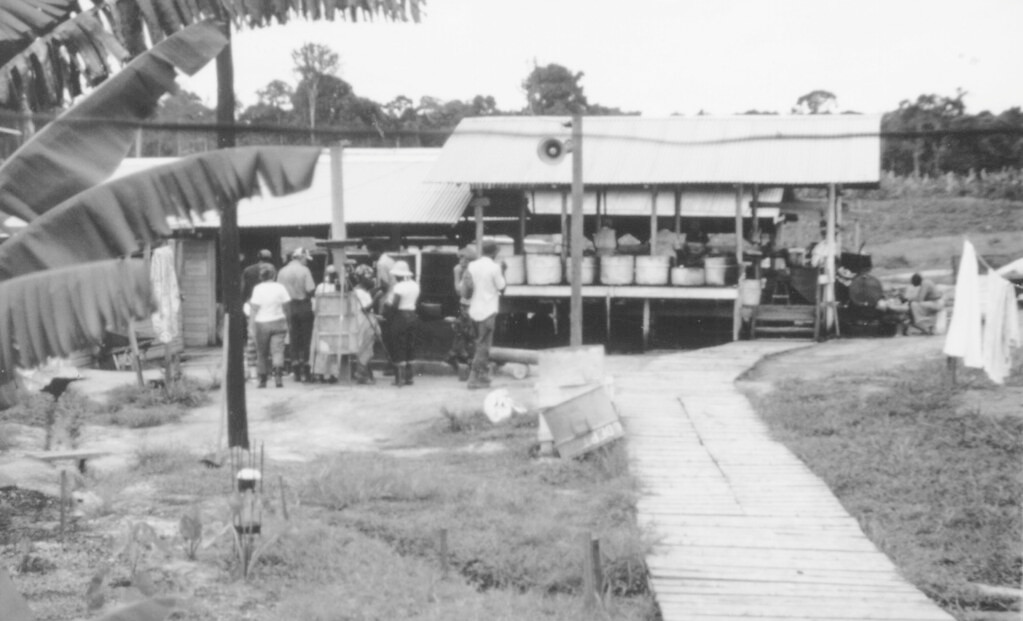 Với lời hứa hẹn về một “vườn địa đàng”, trên dưới 1.000 Jonestown tín đồ đã di chuyển đến Jonestown, nhưng mọi thứ không giống như những gì họ mong đợi.