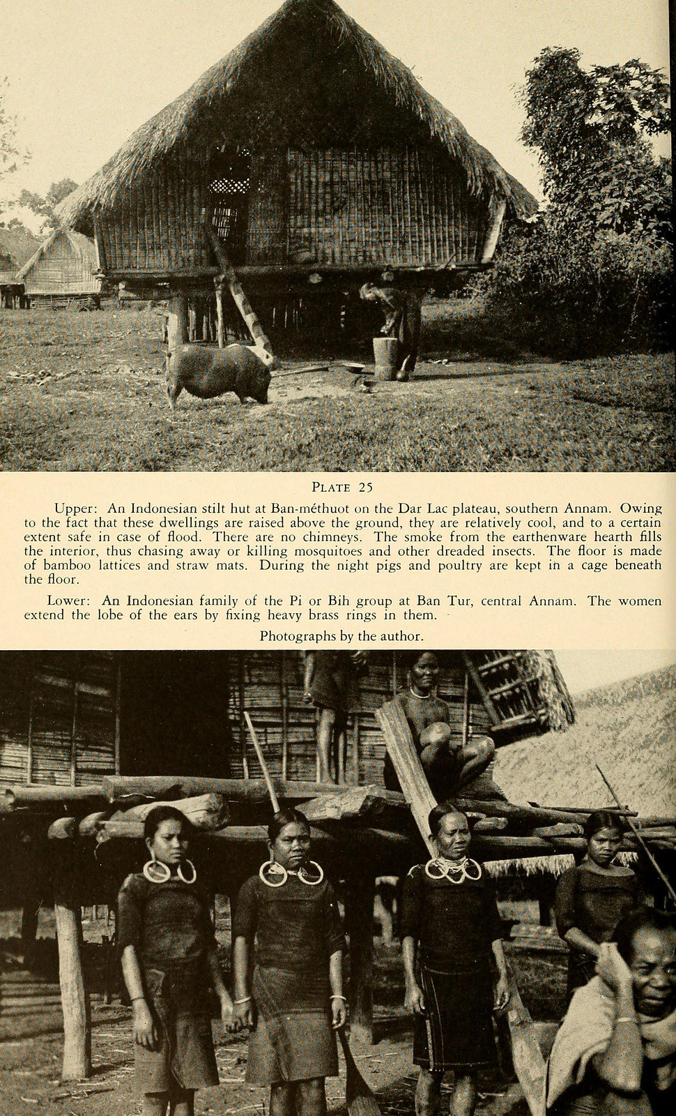 Ảnh trên: Nhà sàn của người Ê Đê ở Buôn Ma Thuột, Đăk Lăk. Ảnh dưới: Phụ nữ người Mạ ở Tây Nguyên với tục căng tai độc đáo.